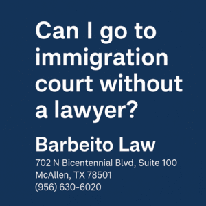 Can I Go to Immigration Court Without a Lawyer